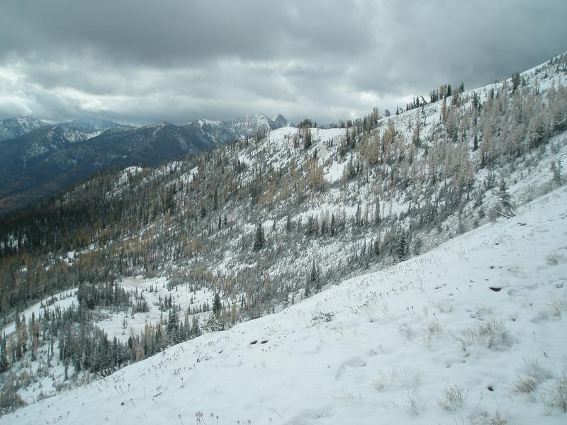 PA180018.jpg
