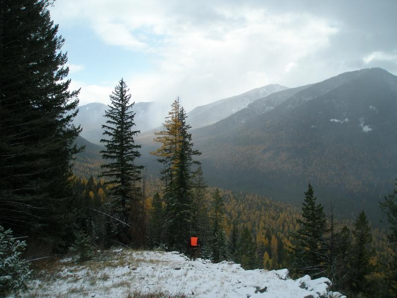 PA200039.jpg