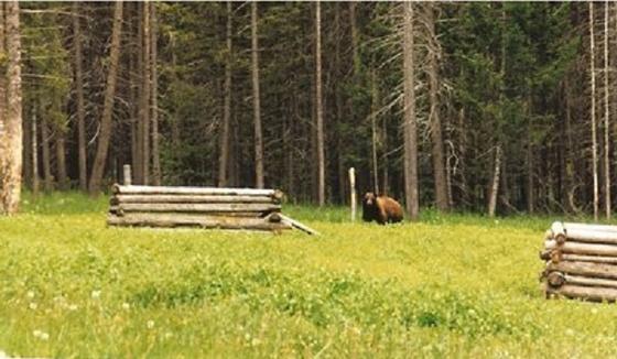 phoca_thumb_l_camp_visitor_400.jpg