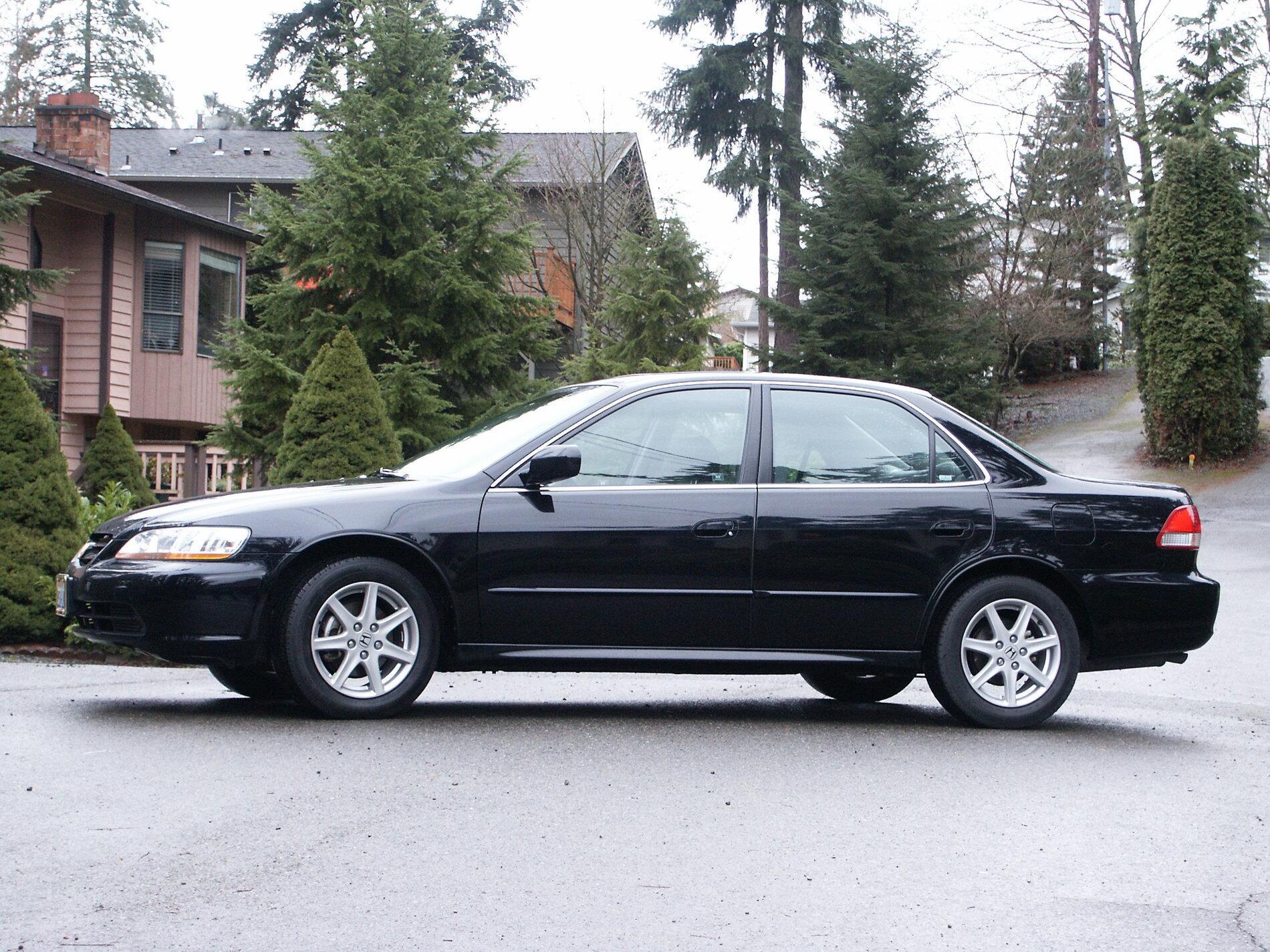 PICT0013.JPG