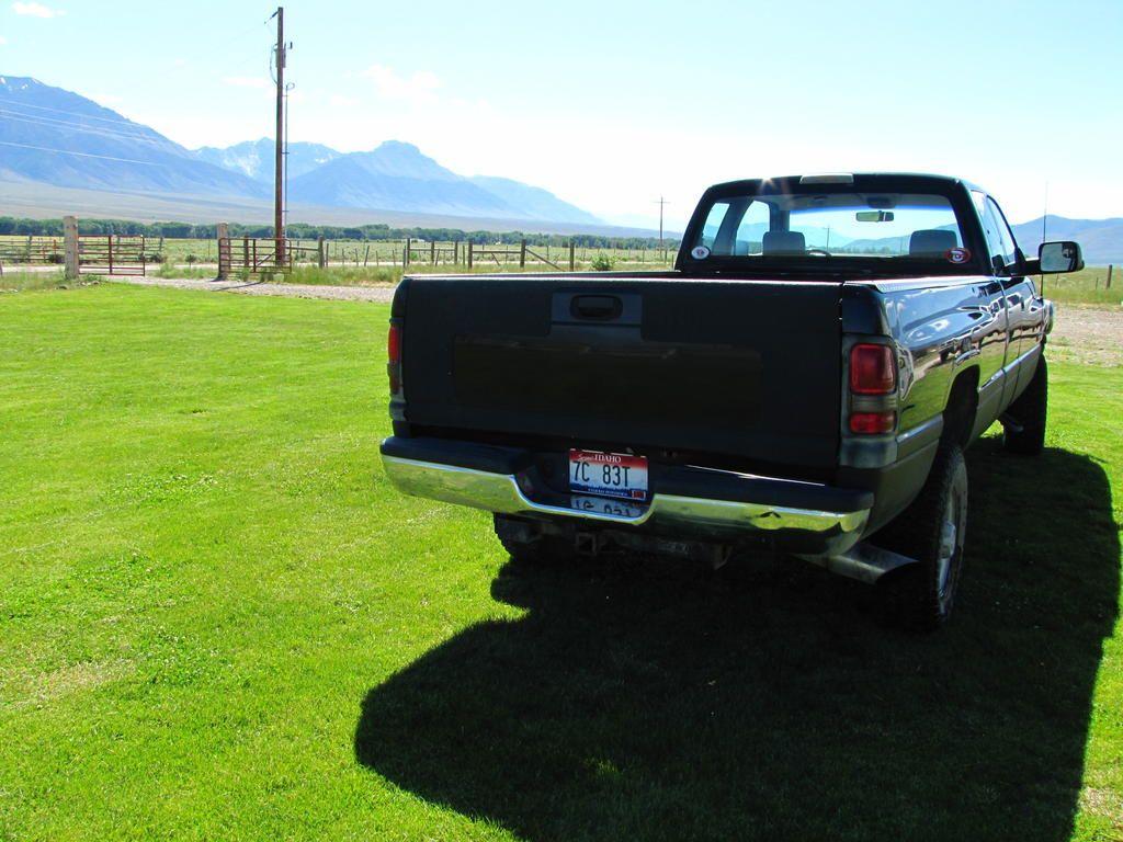 Picture 7976.jpg
