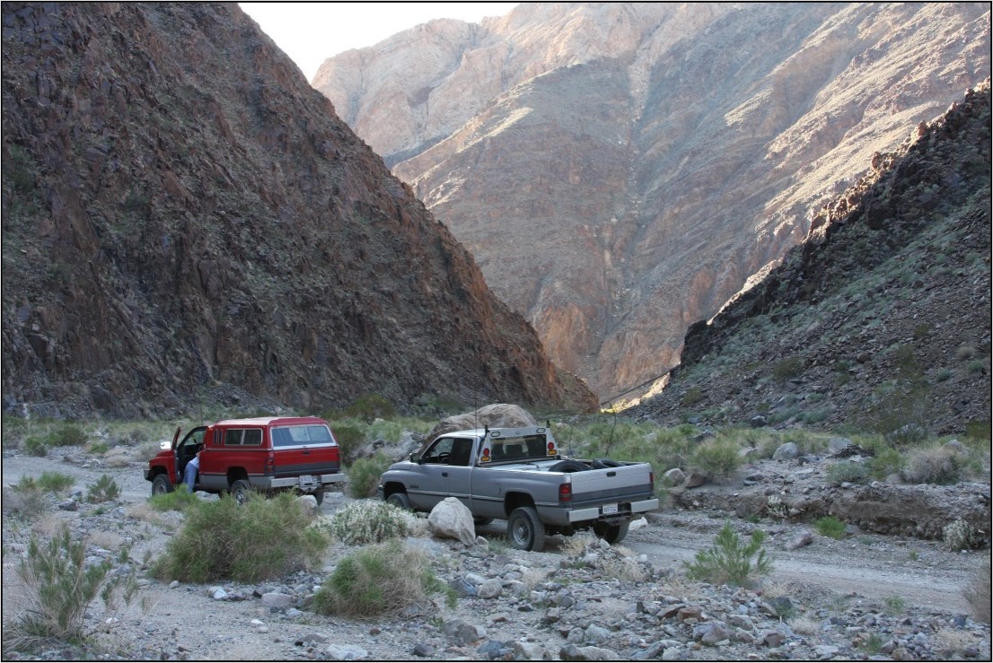 Picture1.jpg