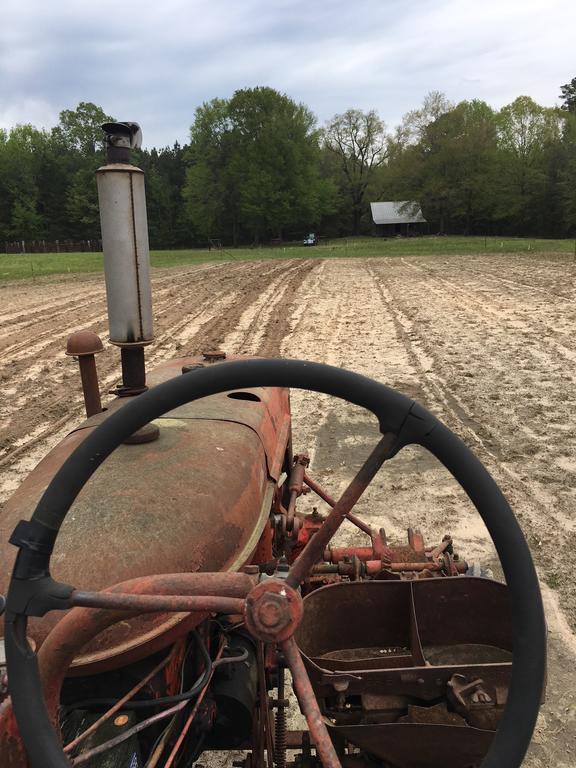 Planting Peas 1.jpg