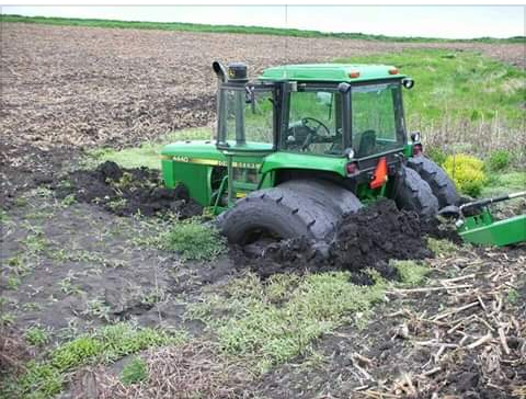 planting time.png