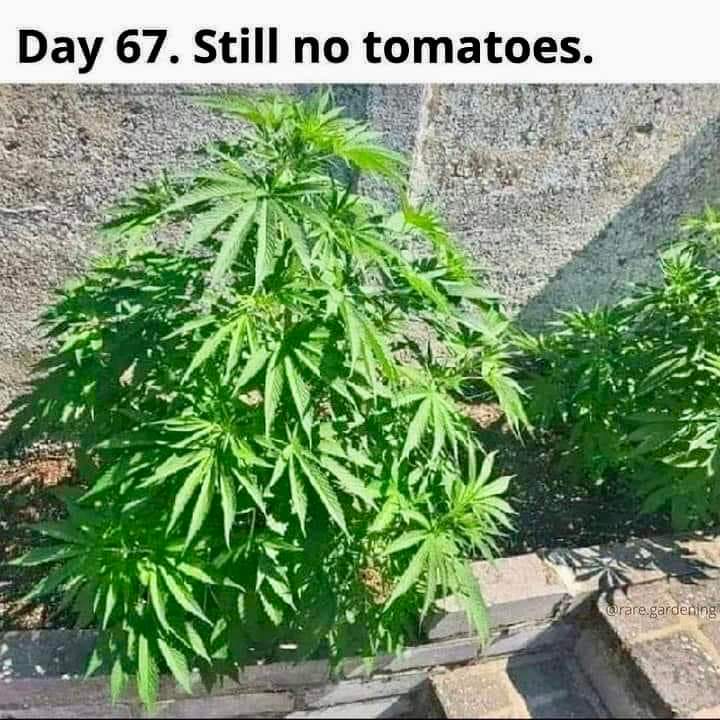 POT.JPG
