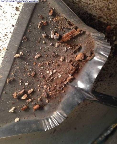 pumpkin_droppings.jpg