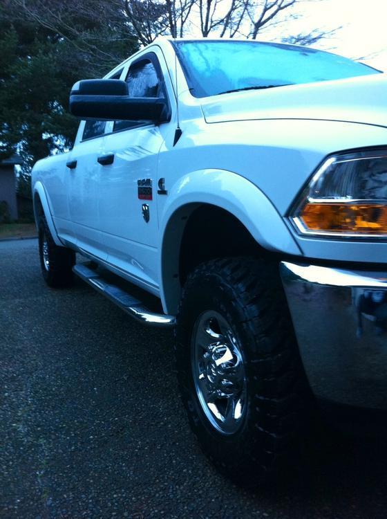 Ram16.jpg