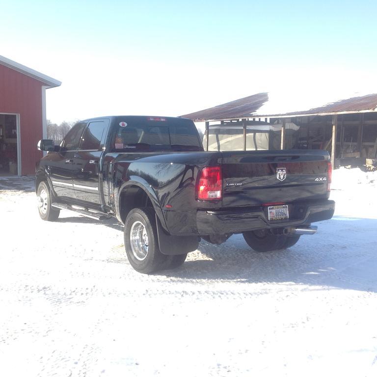 ram2.jpg