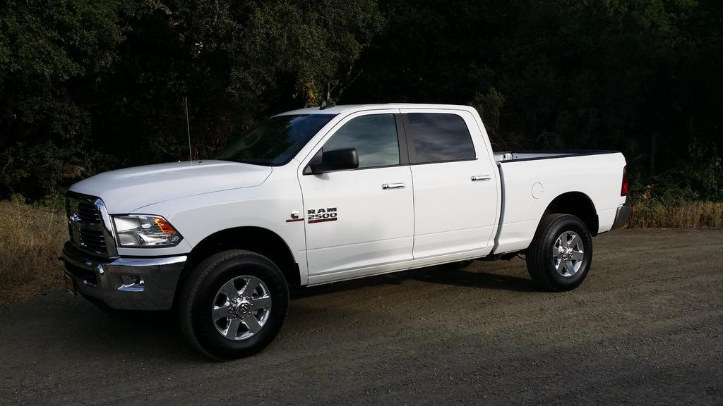 Ram_Small.jpg