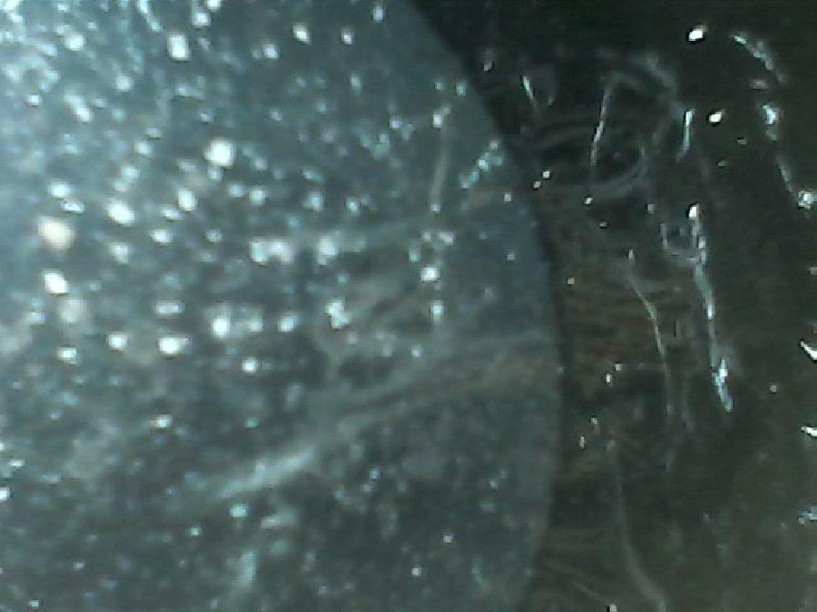 Ring 1.jpg