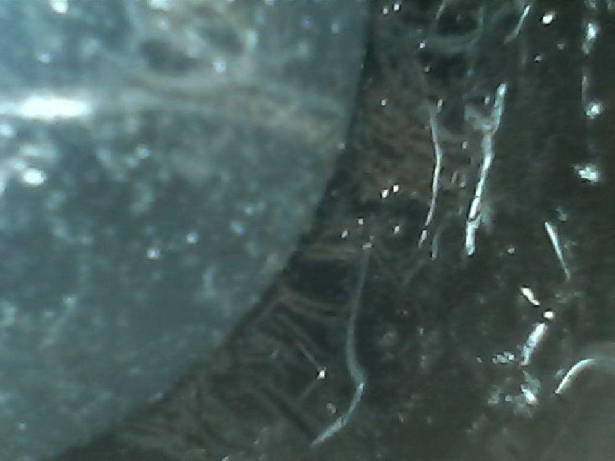 Ring 3.jpg