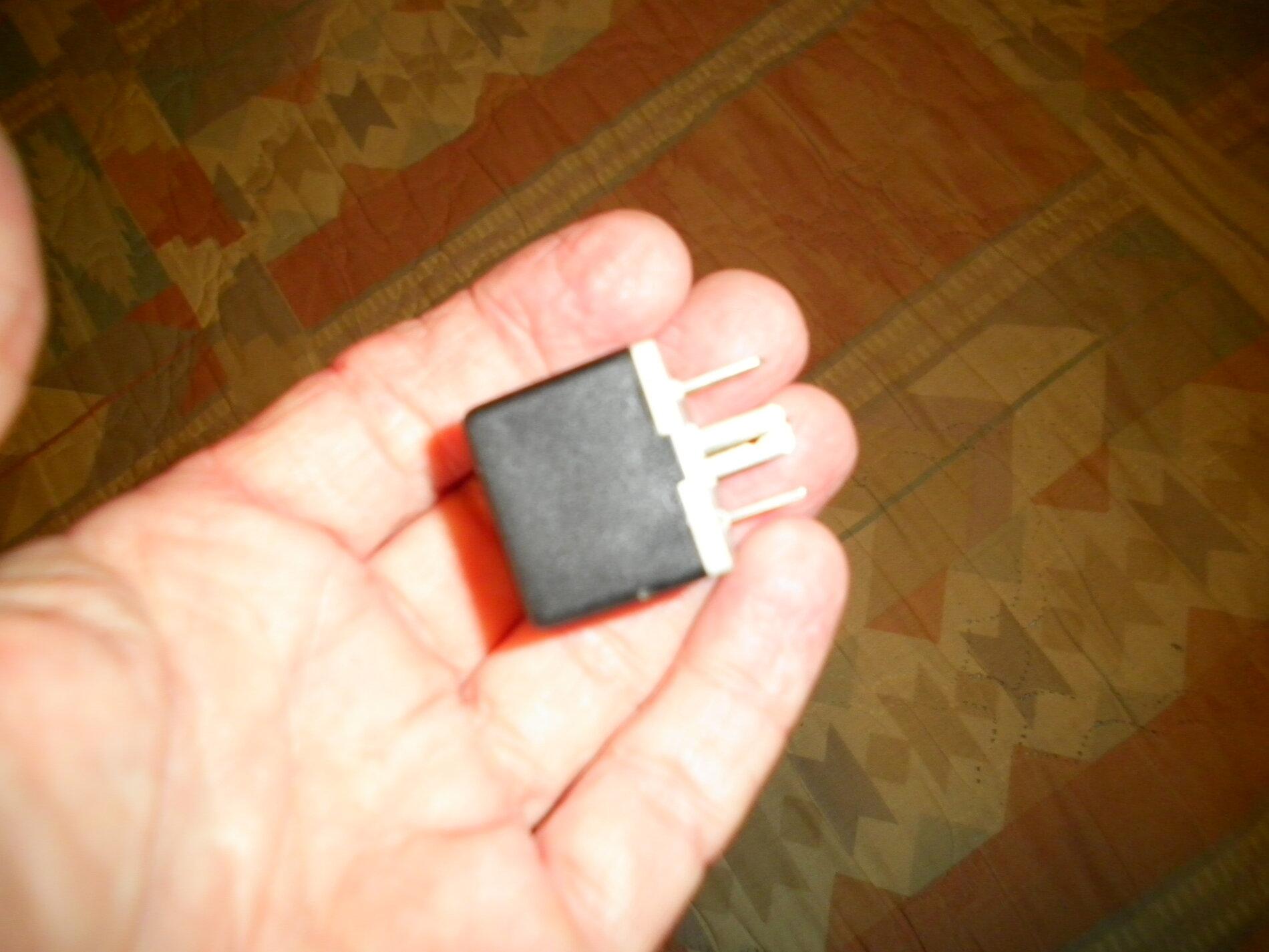 SANY4852.JPG