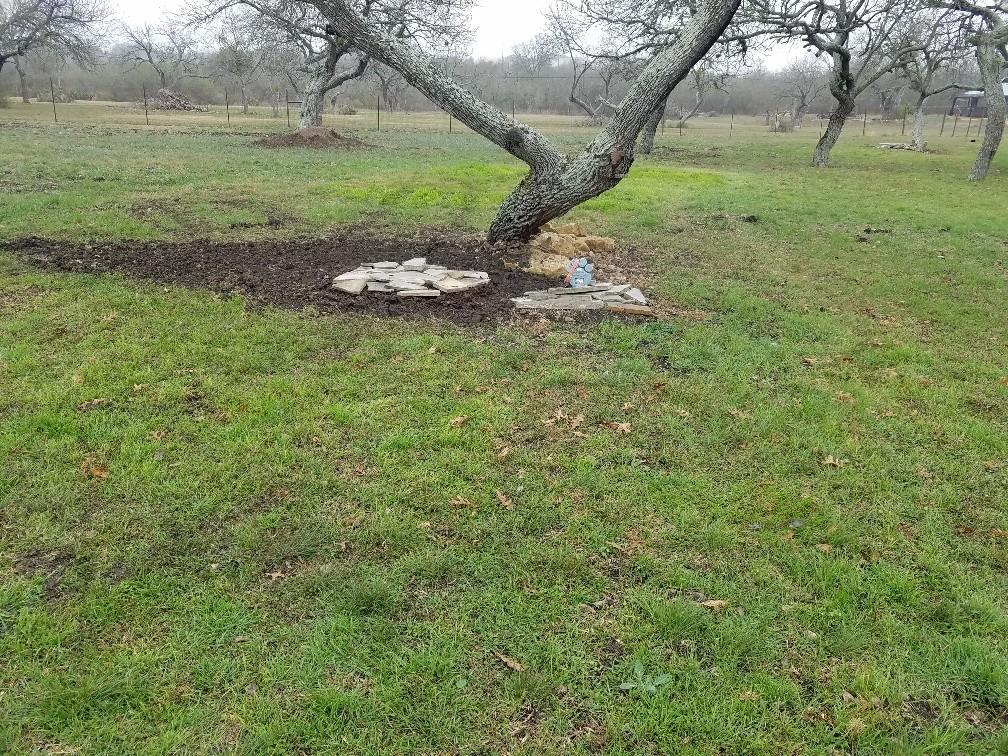 Sheba-Grave.jpg