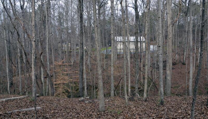 Shot From Shooting Range.jpg