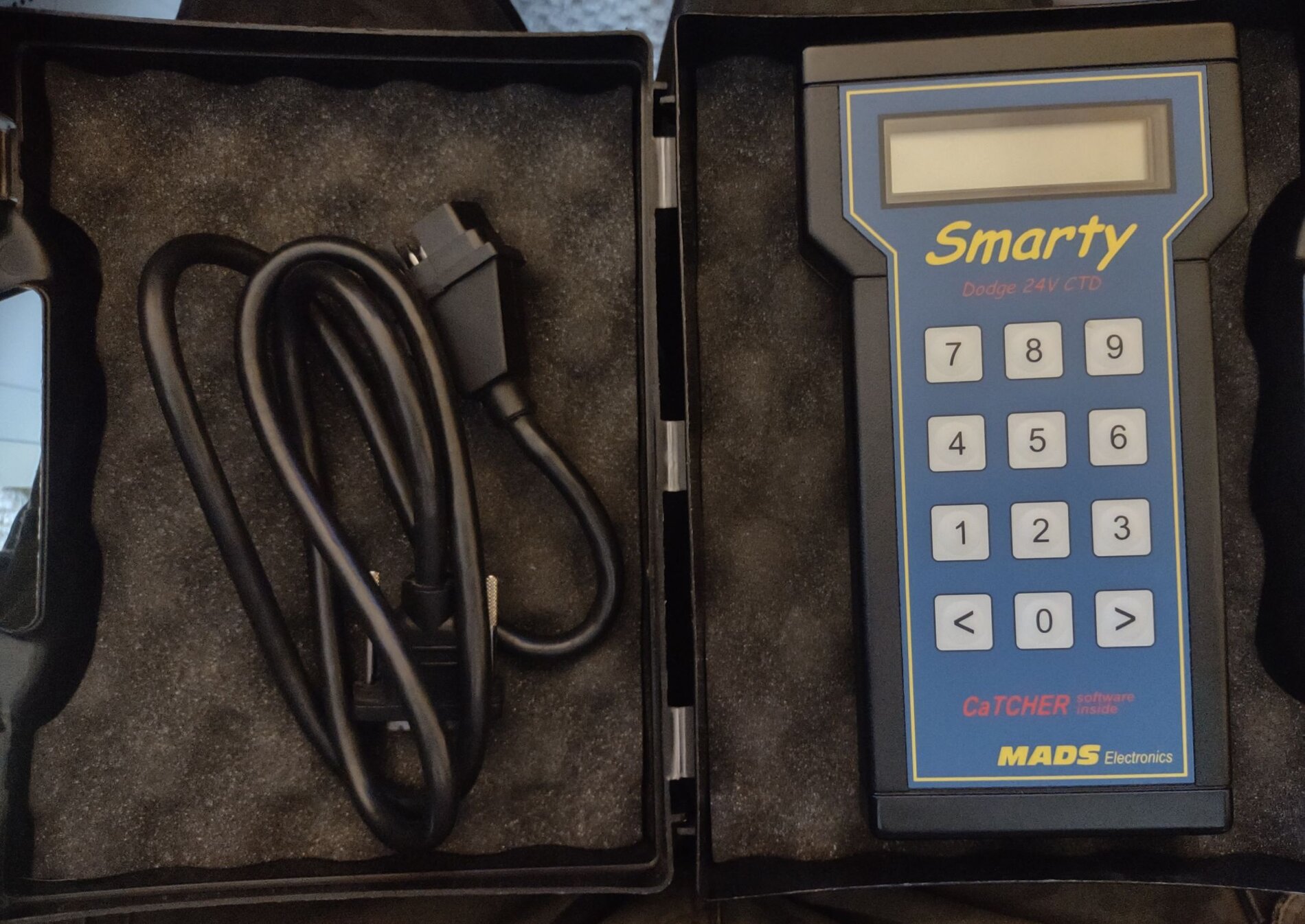 Smarty 2.jpg