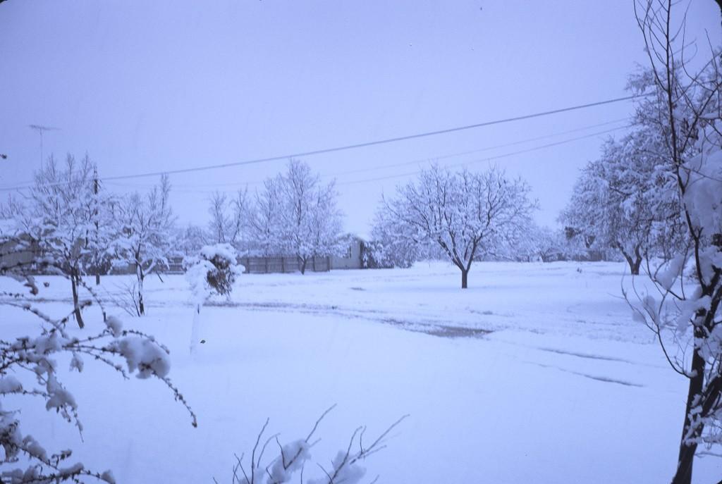 SSD_16bit_wideRGB_ICE_Jan1973Eldorado_18.jpg