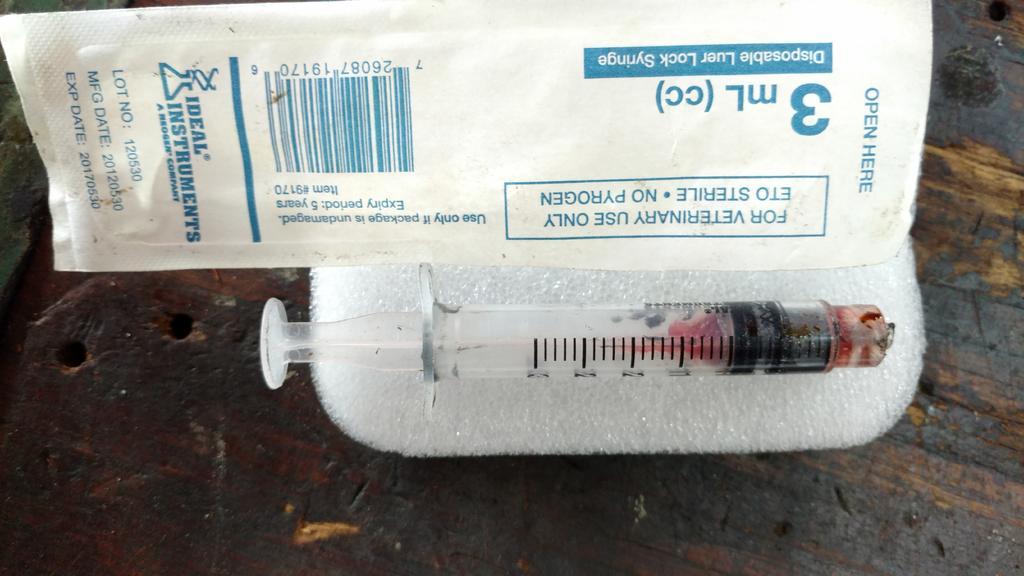 Syringe3.jpg