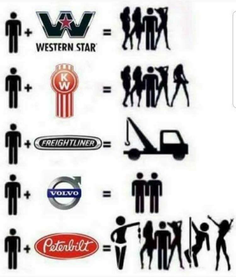 tdr.jpeg