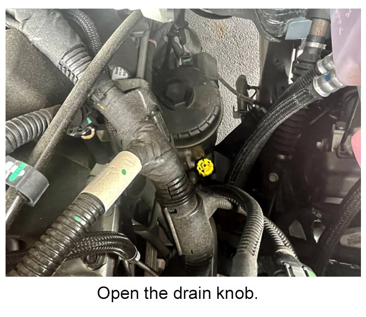 TDR-WIF---drain-knob.jpg