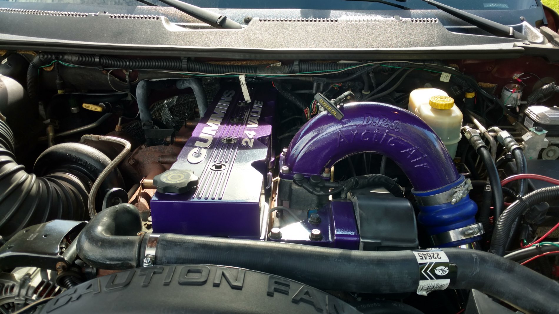 TDR14.jpg