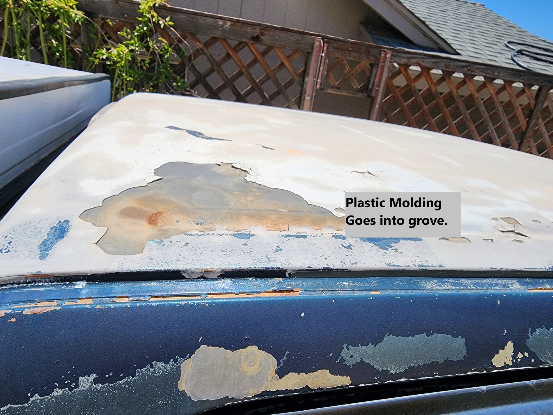 Truck Roof.jpg