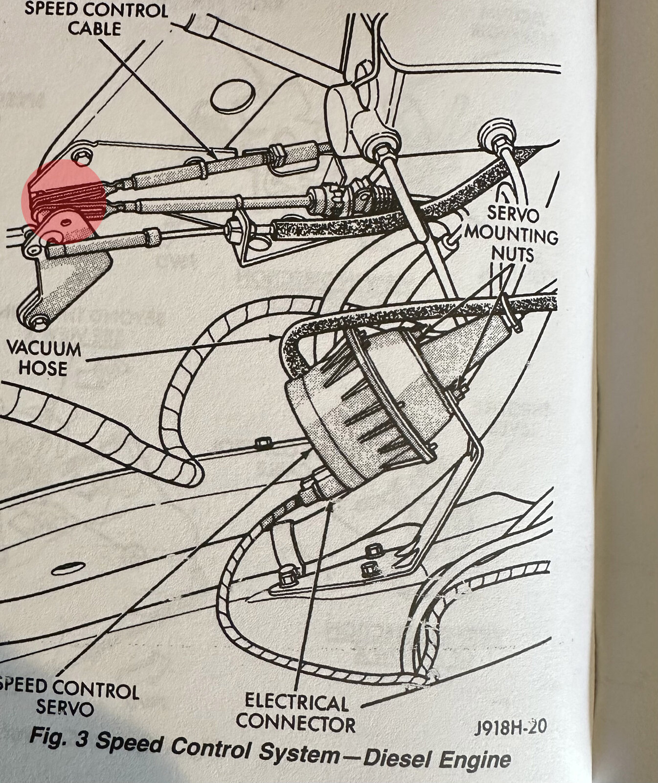 TV and Cruise Control Cables.jpg