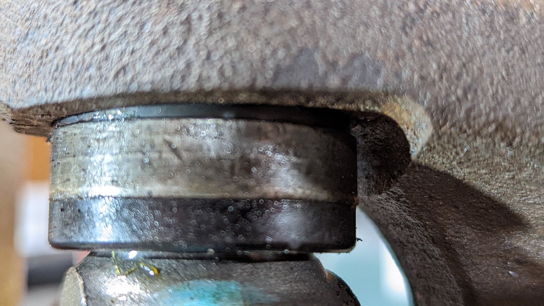 U-joint DAN 5006813.jpg