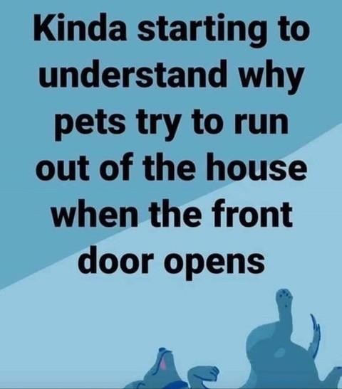 Understanding.jpeg