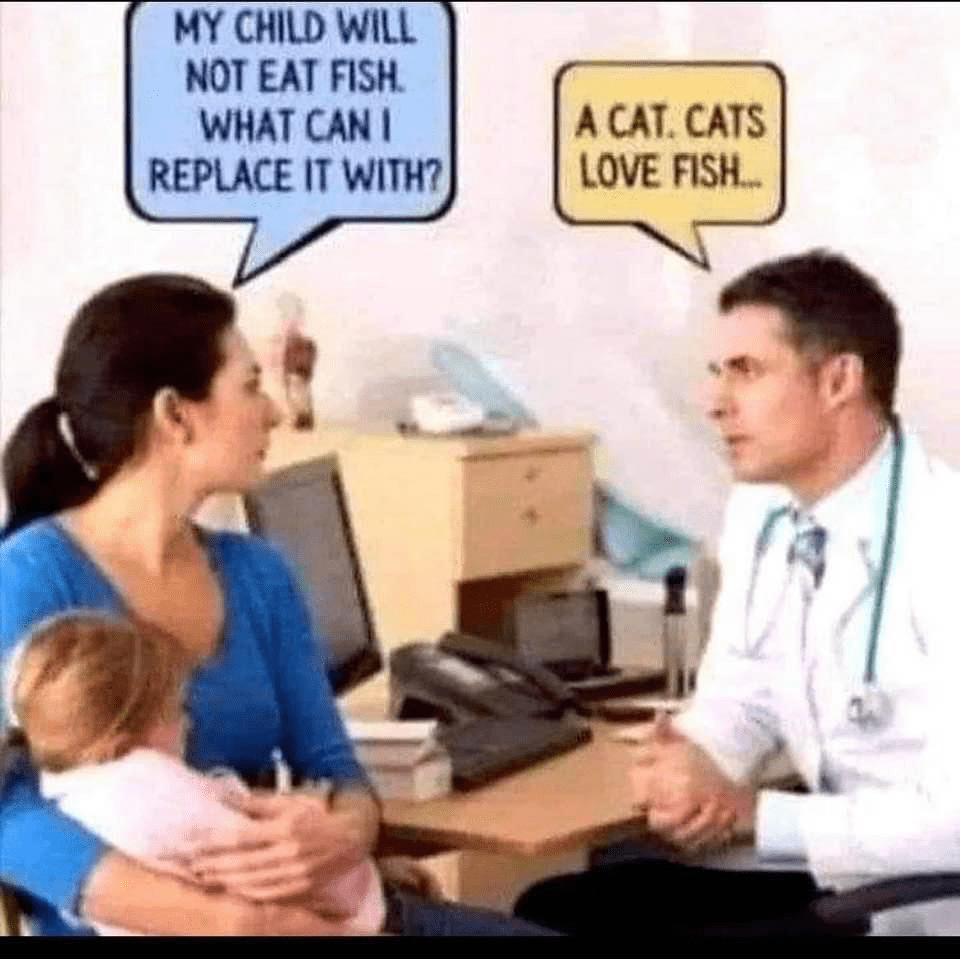 upload_2022-6-26_19-24-53.png