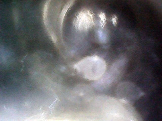 WIN_20170414_17_13_07_Pro.jpg