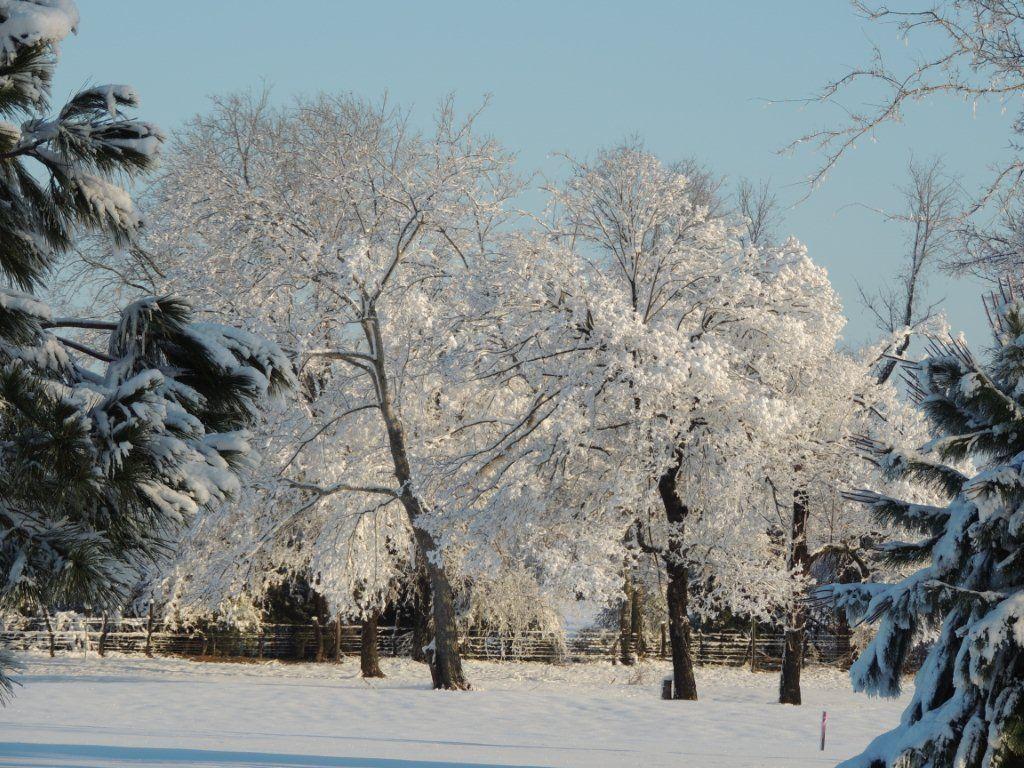 Winter 2012 01.jpg