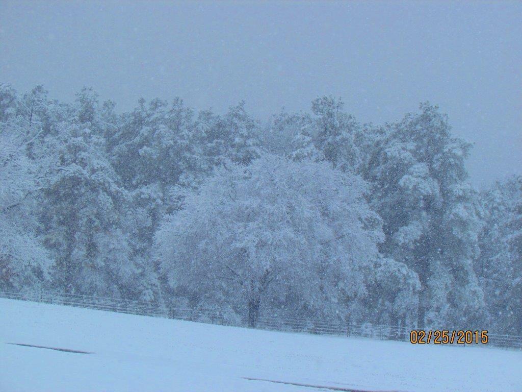 Winter 2015 042.jpg
