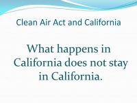 California---What-Stays.jpg