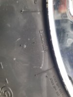 20230808_190235.jpg