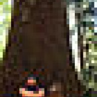 JJFlash