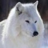 Whitewolf