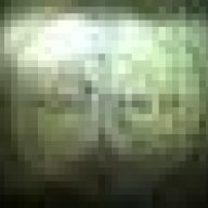 The_Rock