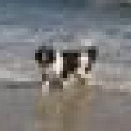 Newfy