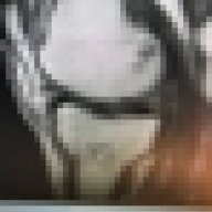 Osteoblast