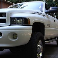 Albino99