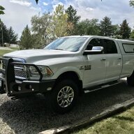Silver Tex
