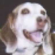 DieselDoghouse