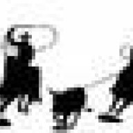 TMRoper1669