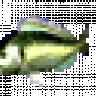 KMC