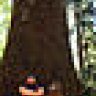 JJFlash