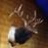 SParman