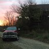 cornstalk1