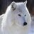 Whitewolf