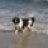 Newfy
