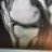 Osteoblast